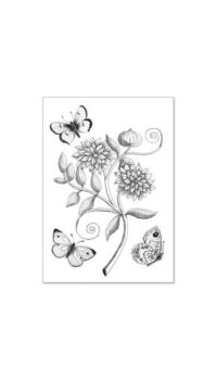 ALIBABETTE EDITIONS ‘SANS-SOUCI’ COLOUR ME CARD